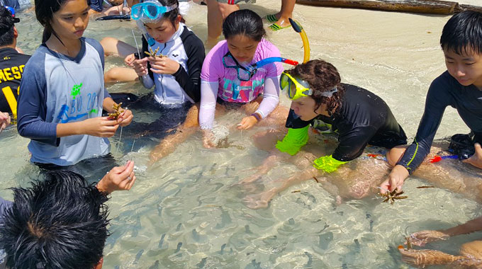 conservation karimunjawa