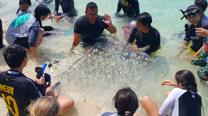conservation karimunjawa coral planting