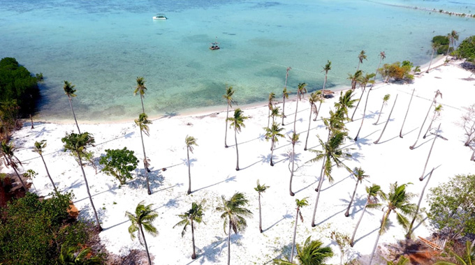 coral reefs in Karimunjawa perfect for snorkelling