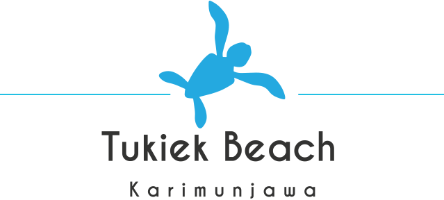 5 star holidays in Indonesia